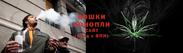 прущие крисы Аркадак