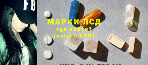 сатива Арсеньев