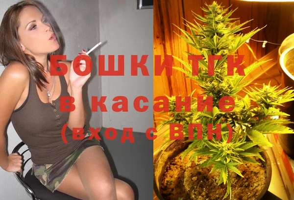 сатива Арсеньев