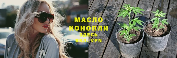 сатива Арсеньев